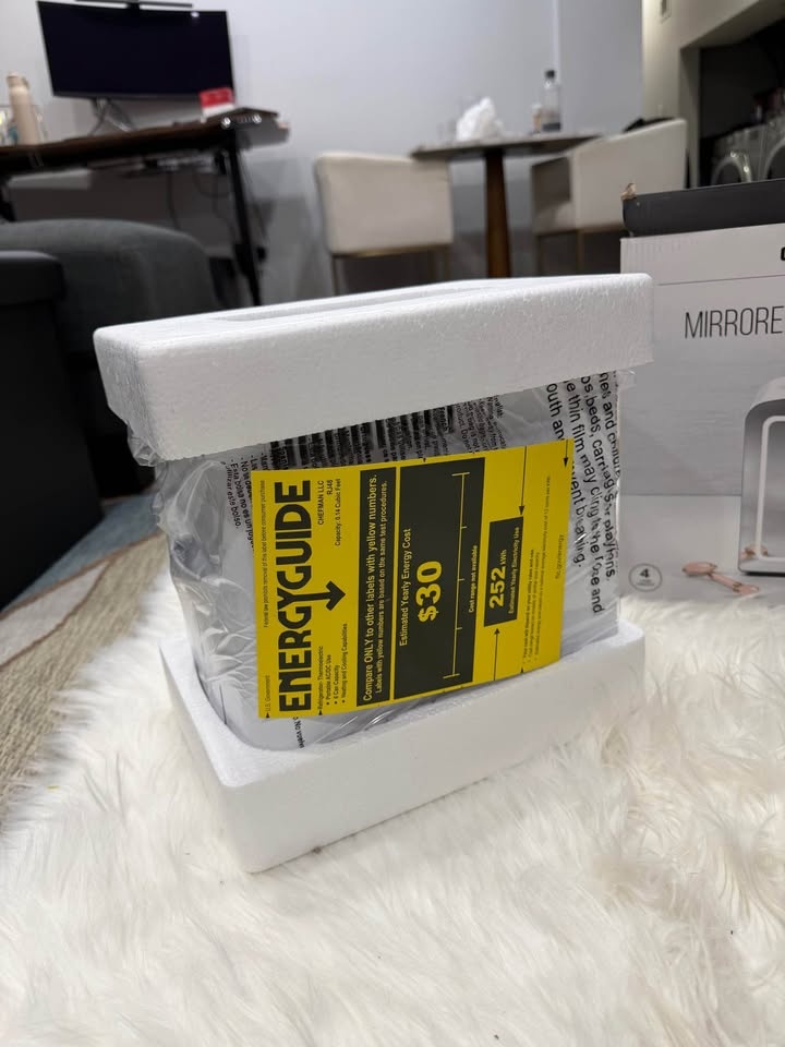 Portable Mirrored Beauty Fridge With LED Lighting - photo 5