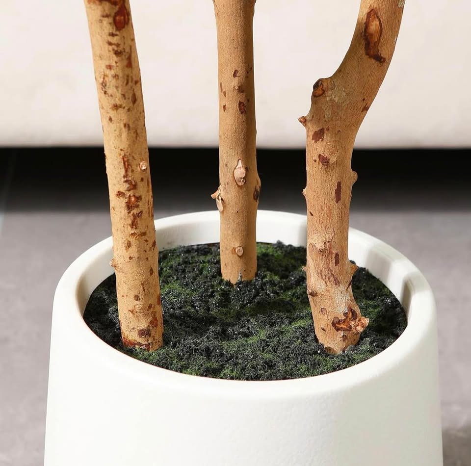 FIDDLE LEAF FICUS TREE, 5FT WITH PLANTER - photo 4