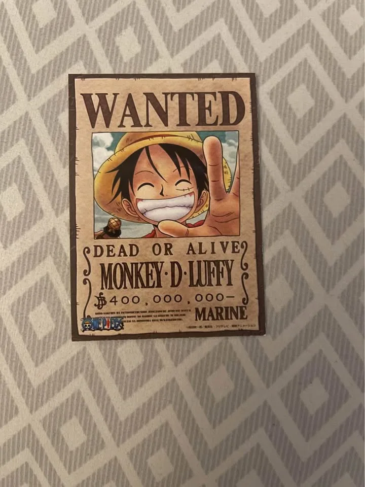 Luffy Bounty Poster – 18x24 image indicator(5)