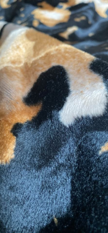 Black and Gold Velvet Fabric - photo 3