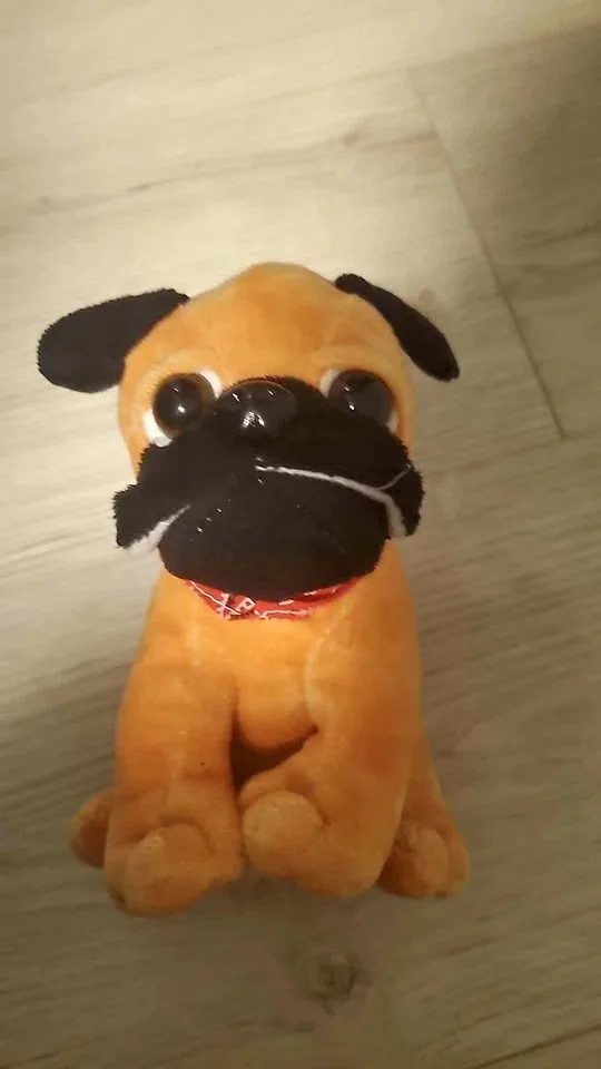 Pug plushie toy