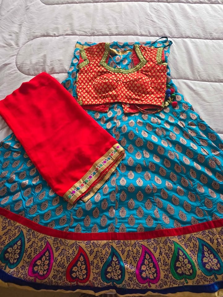 Chaniya Choli (Skirt with Embroidered) - photo 2