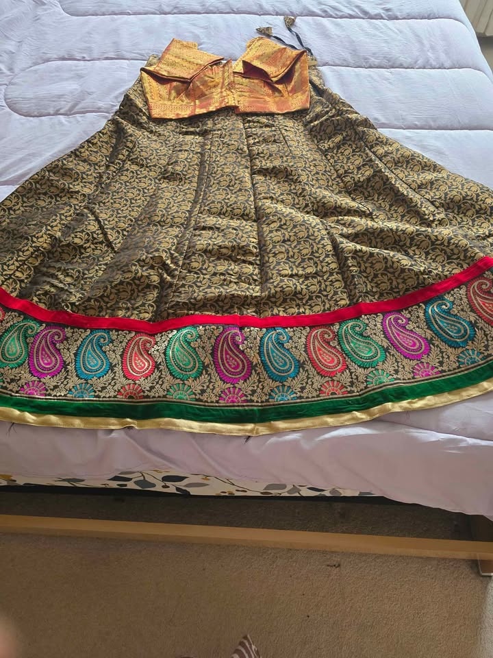 Chaniya Choli (Skirt with Embroidered) - photo 4