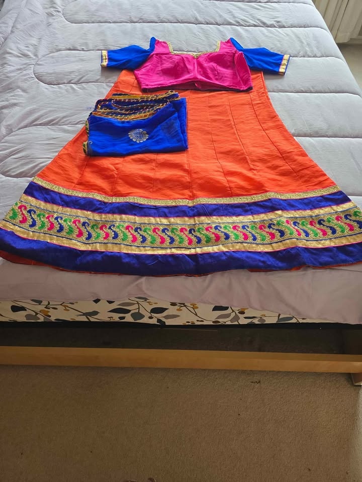 Chaniya Choli (Skirt with Embroidered) - photo 5