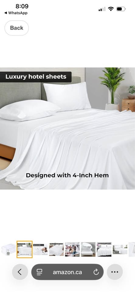 Royale Linens 2 Pack Queen Flat Sheet Set - photo 2
