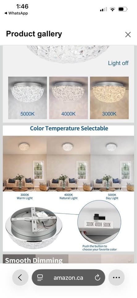 DAKASON LED Ceiling Light Fixture - photo 2