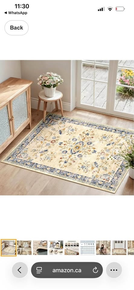 Area Rug 3*5 Vintage Floral Distress Print Pattern