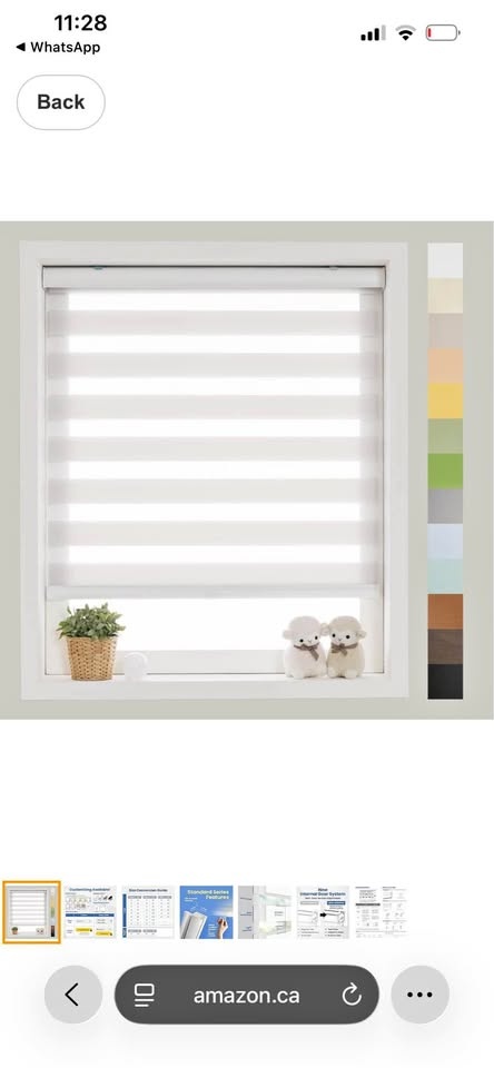FOIRESOFT Zebra Roller Shades, 3 pcs