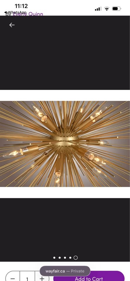 Basinger 12 - Light Dimmable Sputnik Sphere Chandelier - photo 5