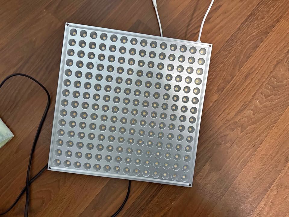 Plant Grow Light Full Spectrum 100W LED