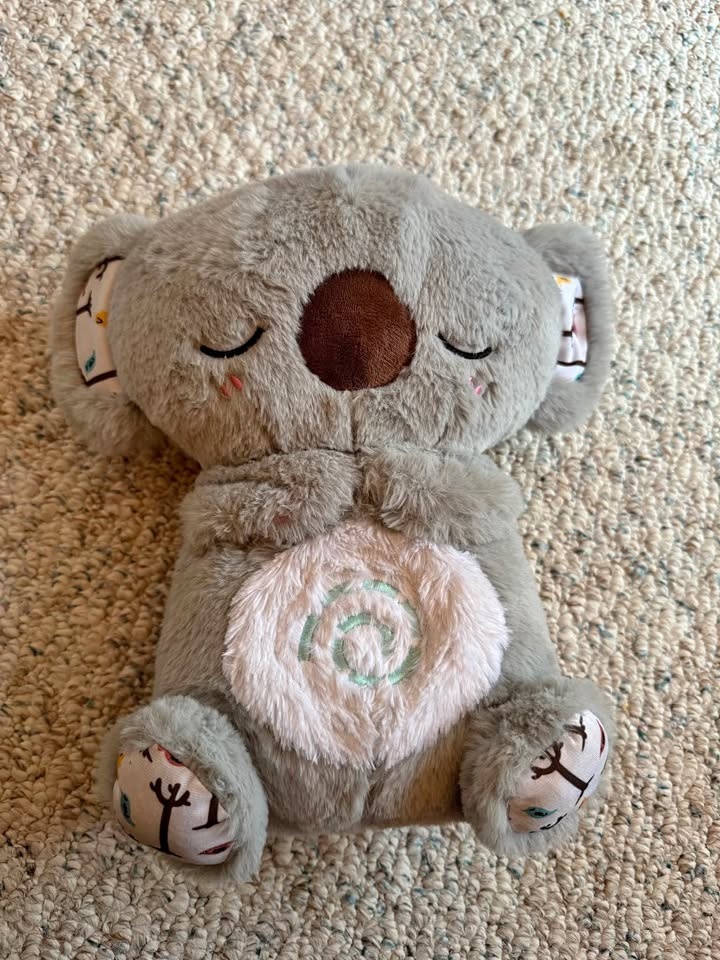 Evora Koala Bear Plush Musical Toy