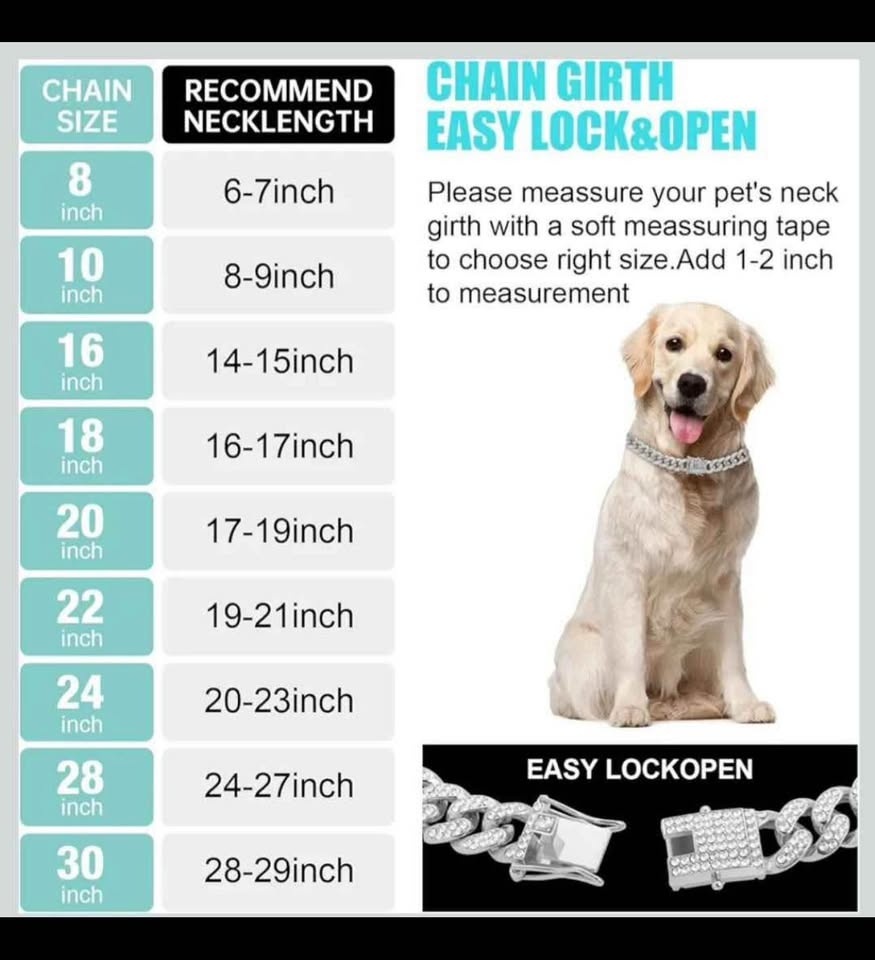 16 inch Silver-Plated Diamond Dog Collar - Cuban Style - photo 4