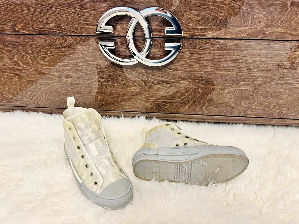 Dior B23 High-Top Sneaker