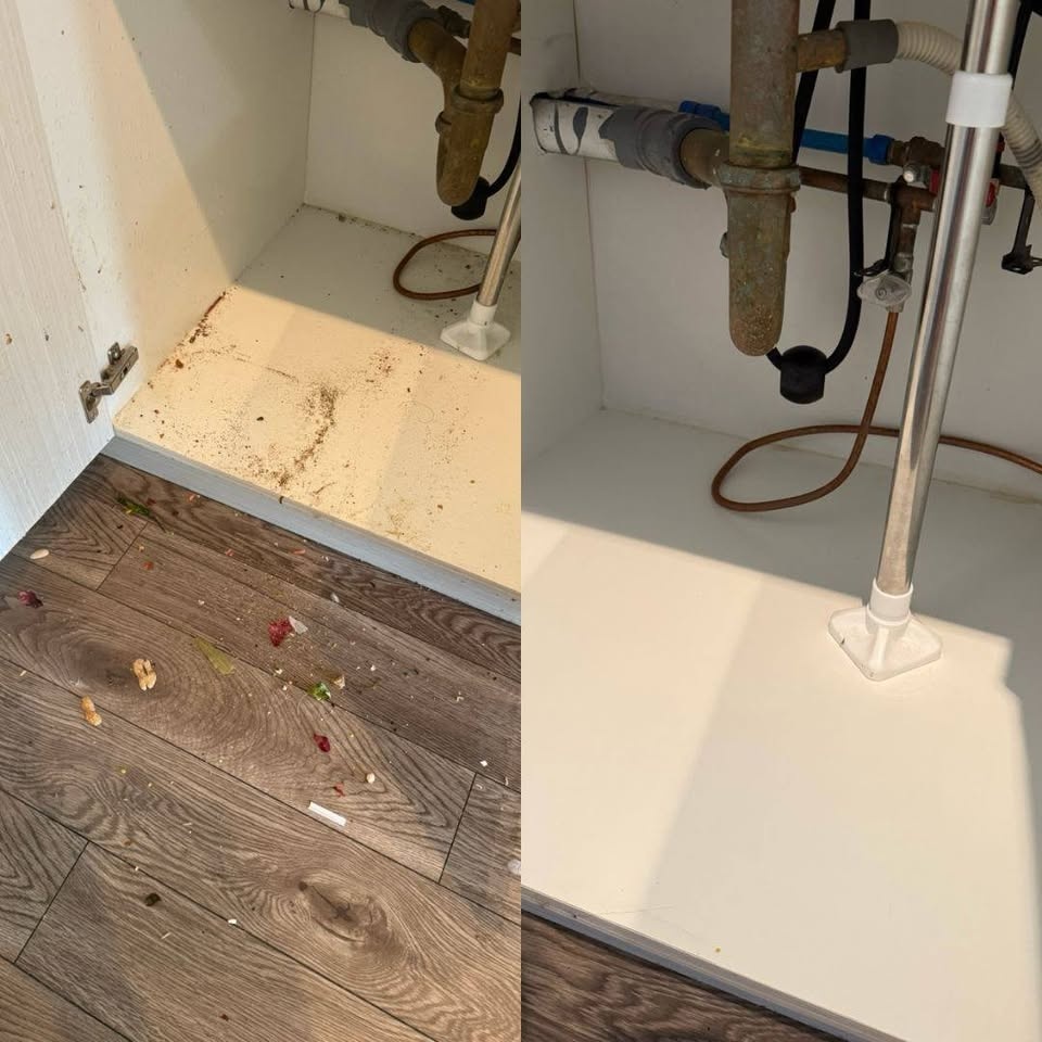 Everything cleaning services available - photo 2