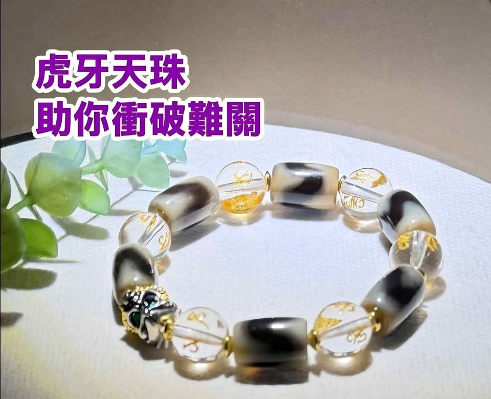 Tibetan Dzi beads 虎牙天珠