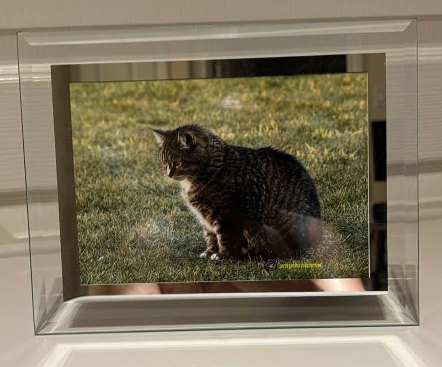 Beautiful Glass Picture Frame Set - photo 4