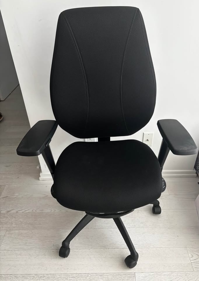 Moving sale-Pick up by Thursday! Ergonomic Adjustable Chair - photo 2