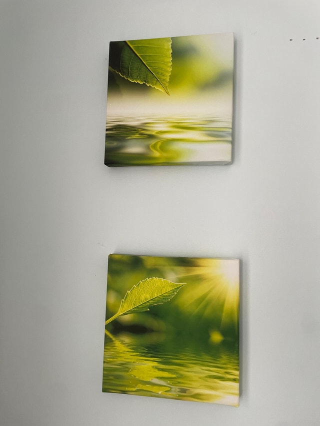 Set of 2 Leaf Over Water Wall Art