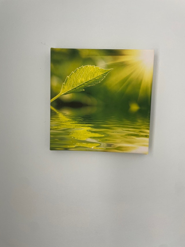 Set of 2 Leaf Over Water Wall Art - photo 2