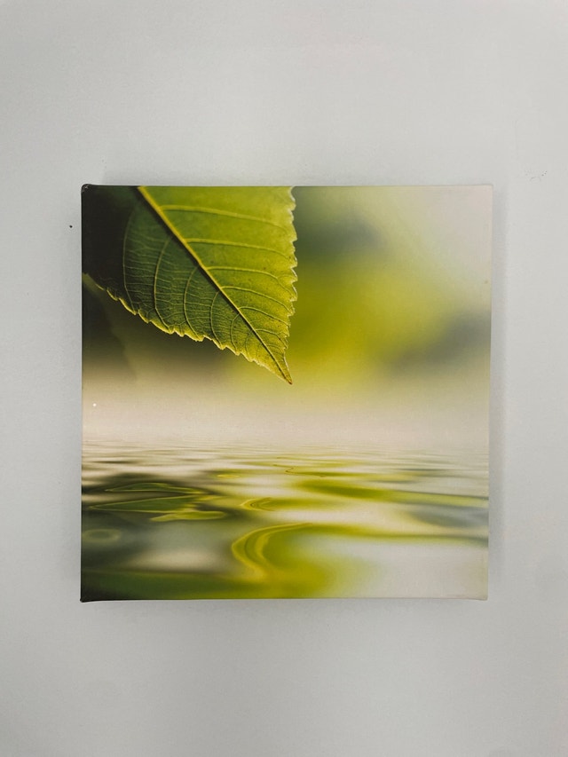 Set of 2 Leaf Over Water Wall Art - photo 3