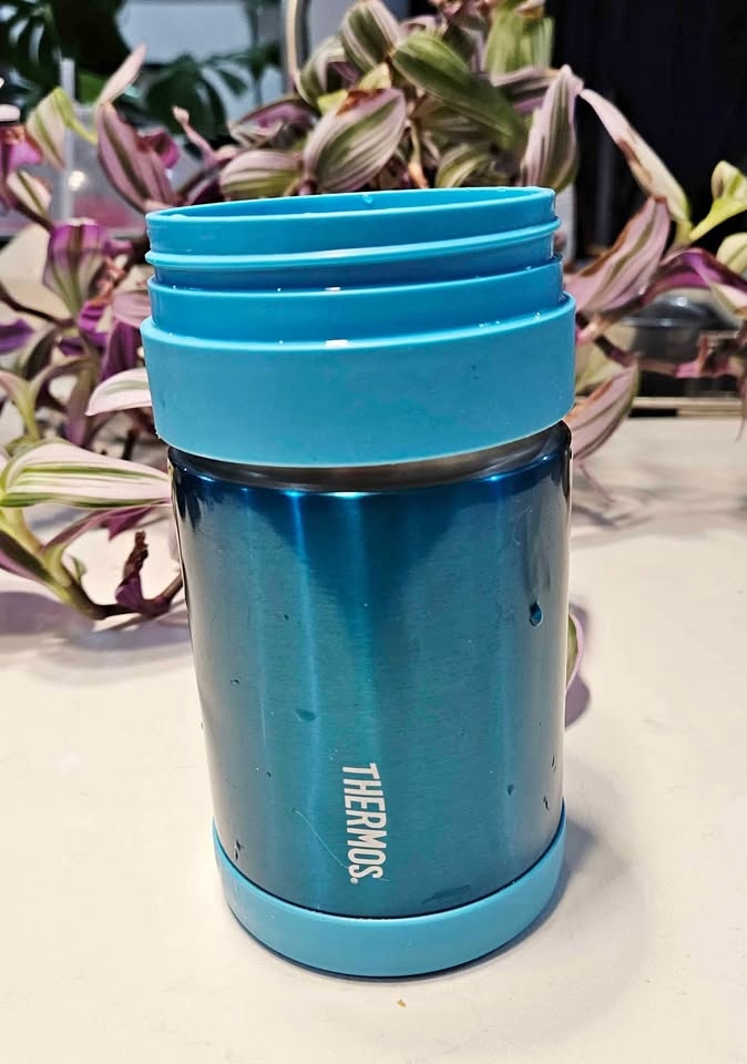 Set of 2 Thermos Food Jars