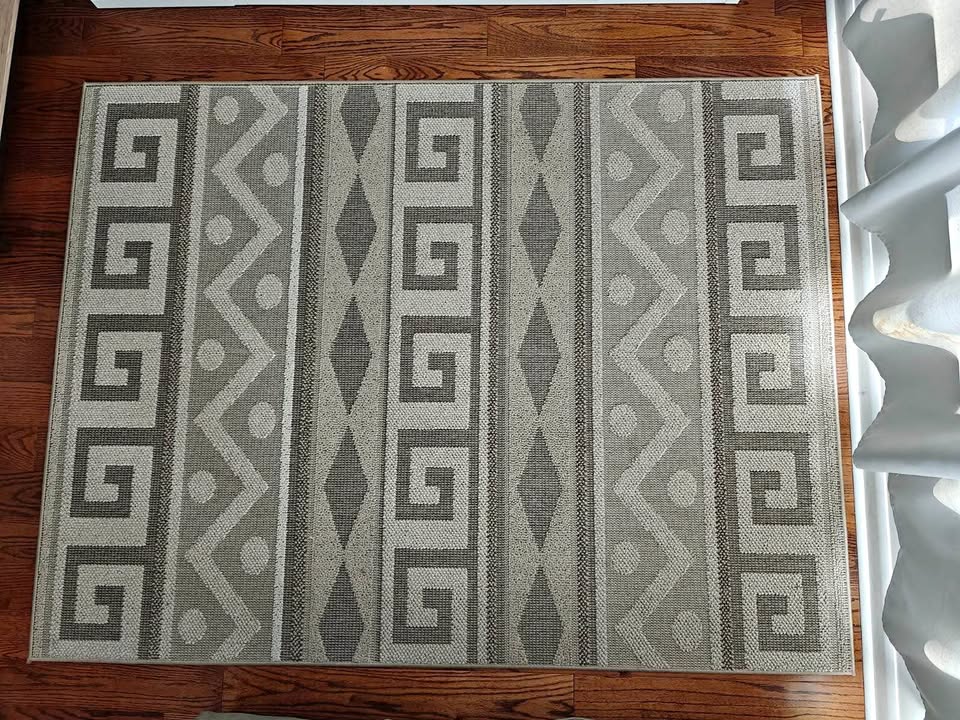 Moving out sale ! Costco Area rug in perfect condition