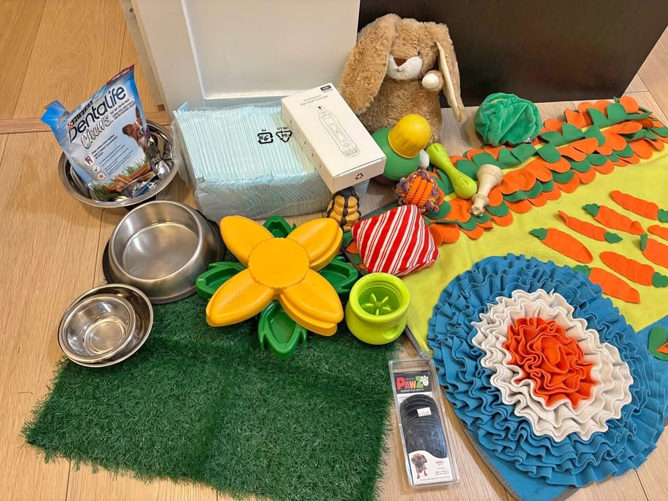 Dog Toys & Food Bowls