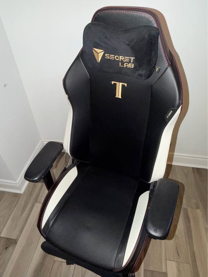 Secretlab TITAN Evo 2022 Gaming Chair – Black & White - photo 4