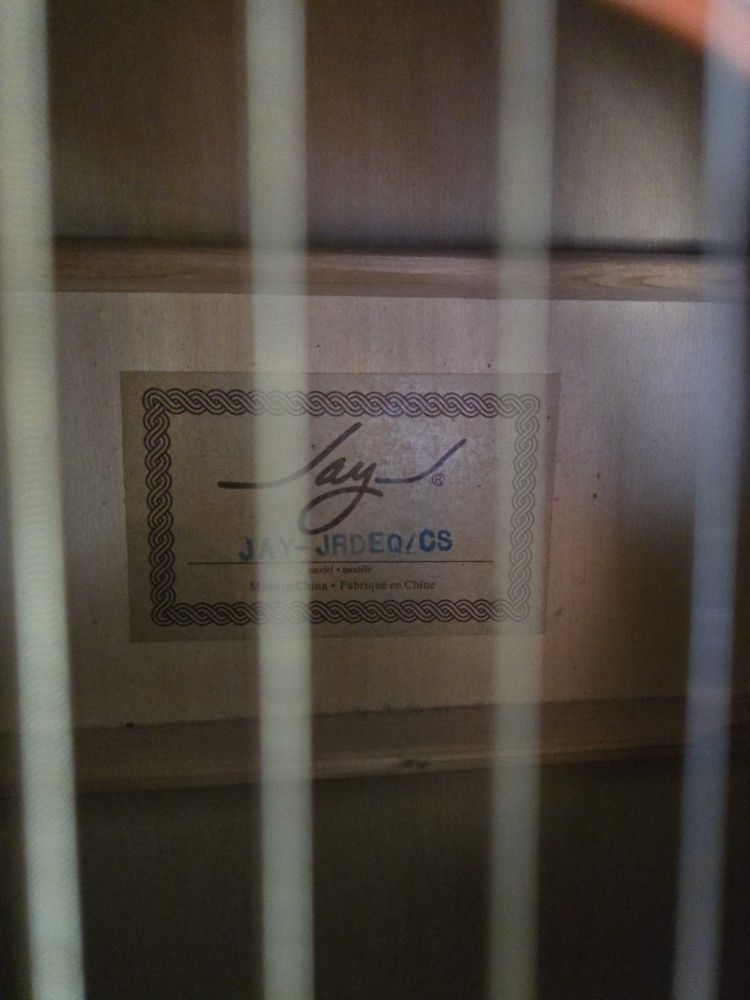 Jay Turser Acoustic-Electric Guitar - photo 4