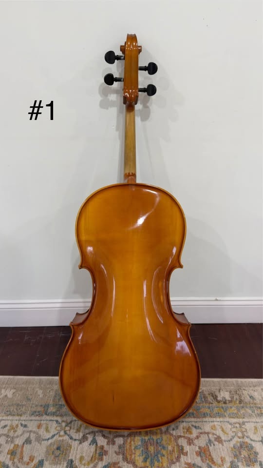 2 Full Size Cello Bodies - Needs Repair - photo 2