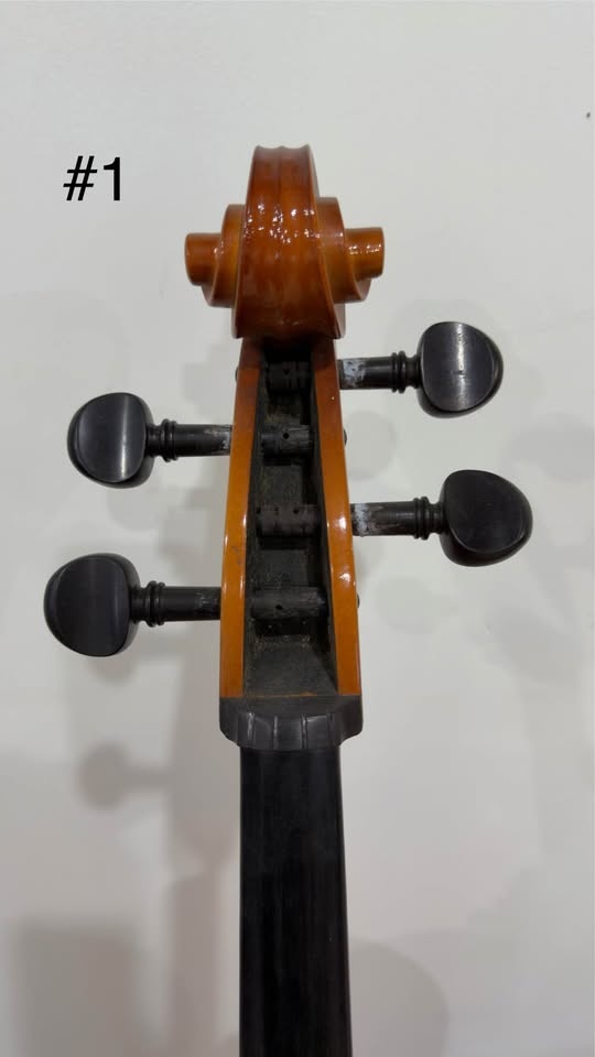 2 Full Size Cello Bodies - Needs Repair - photo 3