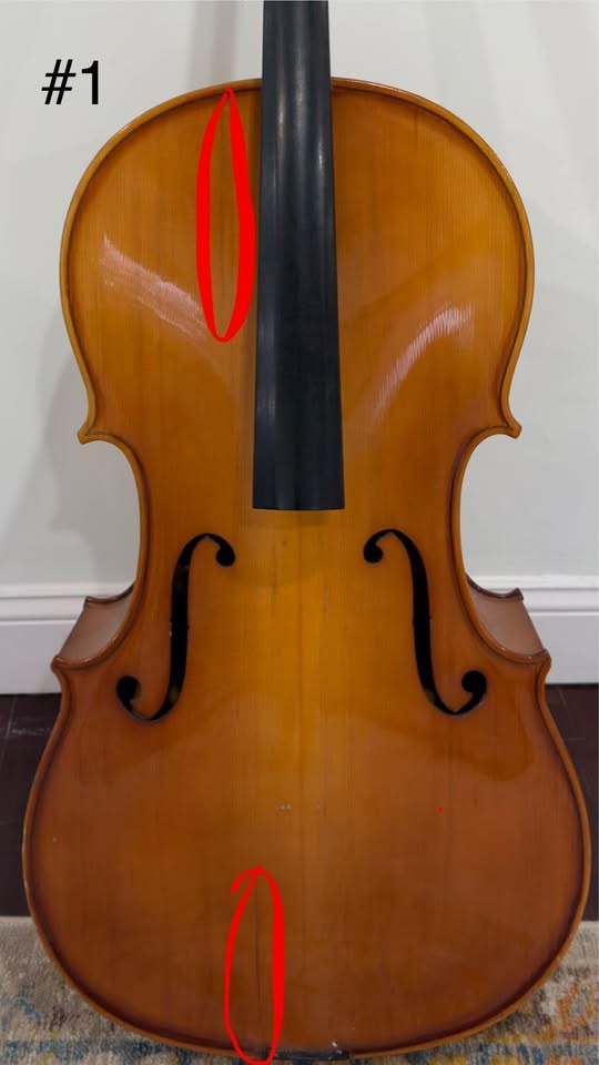 2 Full Size Cello Bodies - Needs Repair - photo 5
