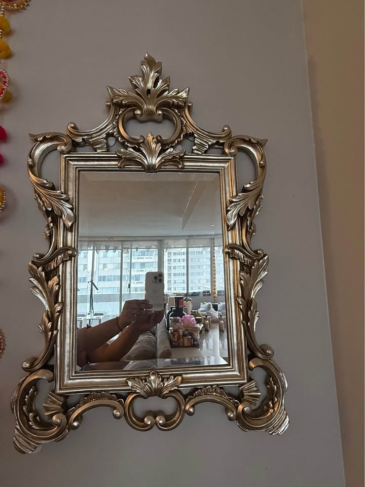 Howard Elliott Ornate Mirror: Champagne with Silver Leaf - photo 4