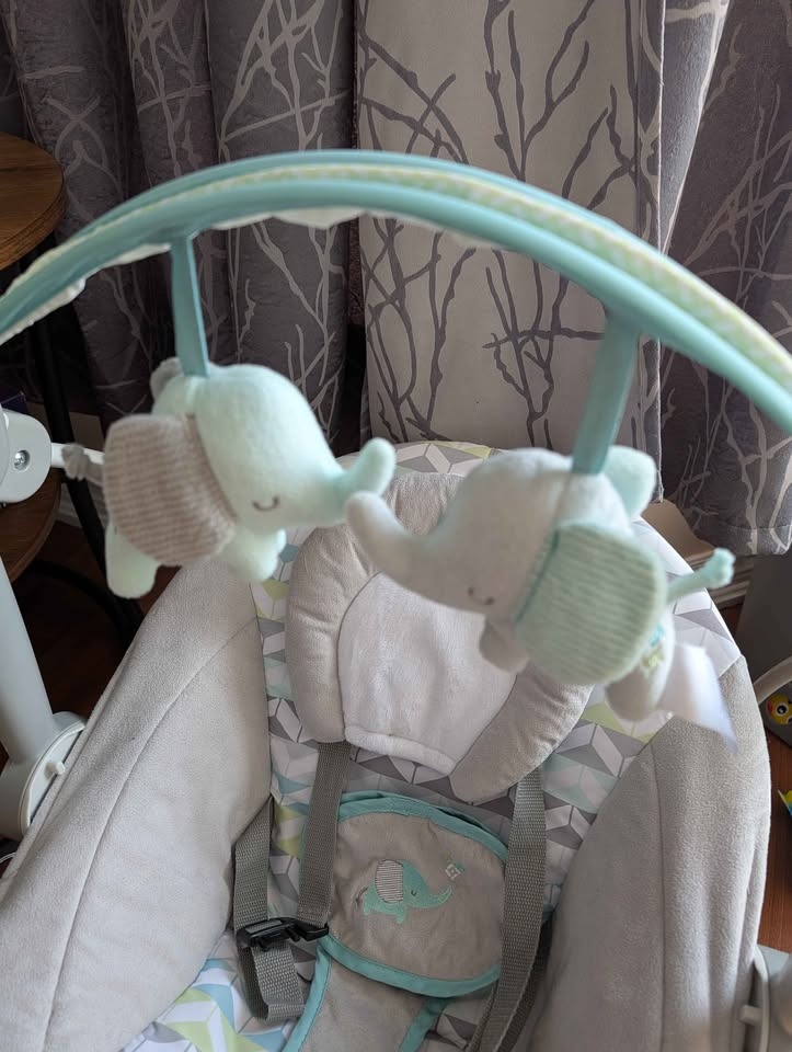 Ingenuity Baby Swing - photo 3