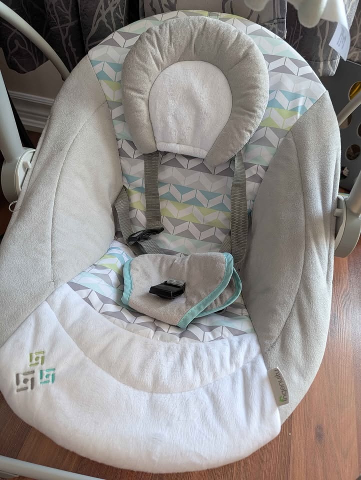 Ingenuity Baby Swing - photo 4