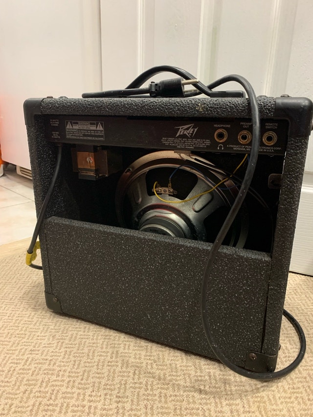 Peavey Envoy 110 Amplifier Portable - photo 3