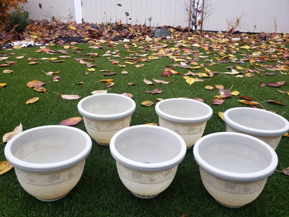 Plastic pots 6 for $15 - photo 2