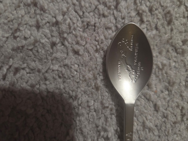 Vintage Bermuda Souvenir Spoon - Longtail Bird & Map - photo 2