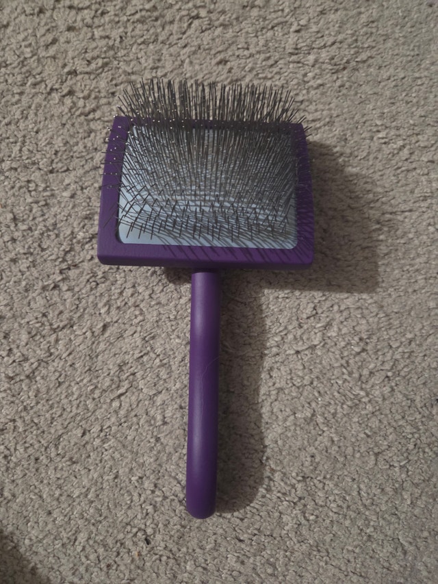 Purple Pet Slicker Brush for Cats and Dogs (Used Once)