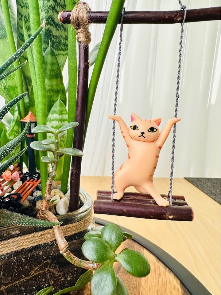Super Low Maintenance Plants - Buy 1 Get 2nd 50% Off - photo 2
