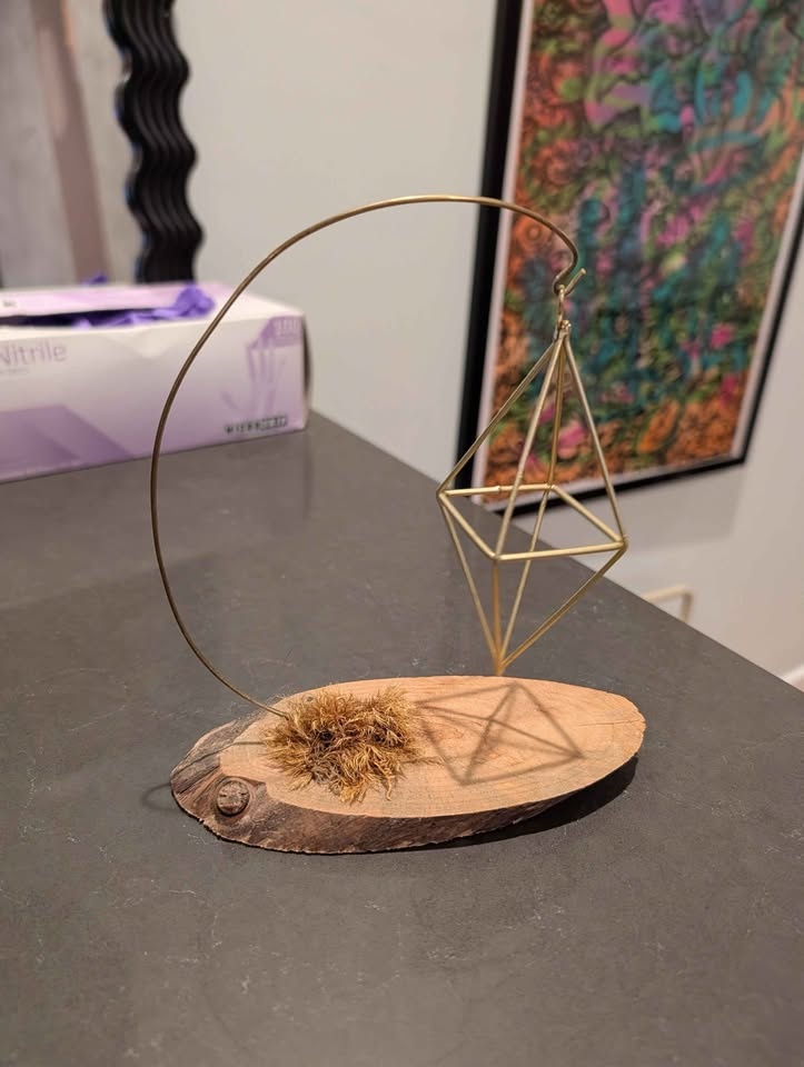 Mid Century Rustic Air Plant Holder - Handmade - photo 2