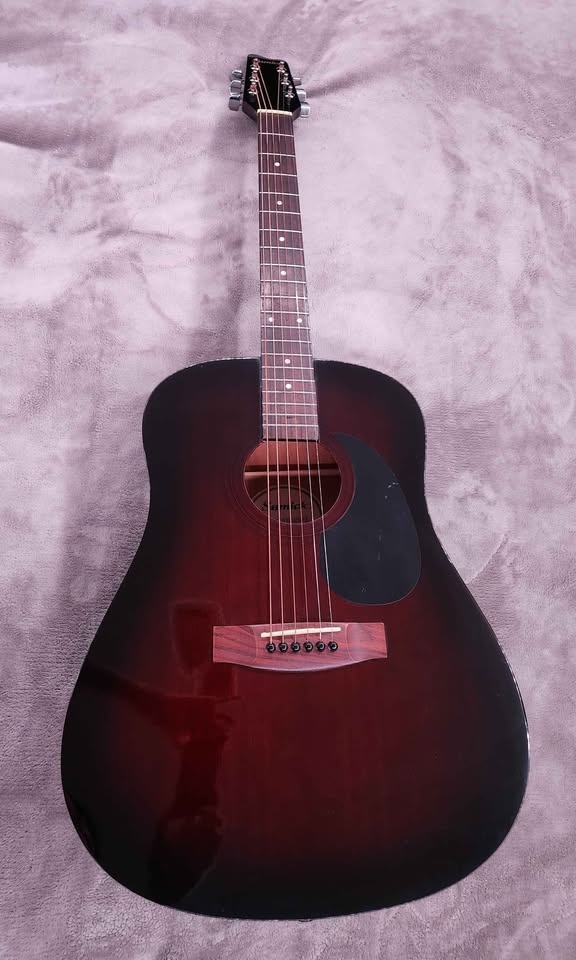 Samick Acoustic Guitar with Case and Accessories - photo 2