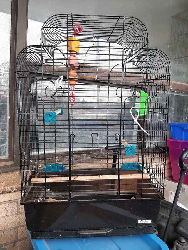 Bird cage