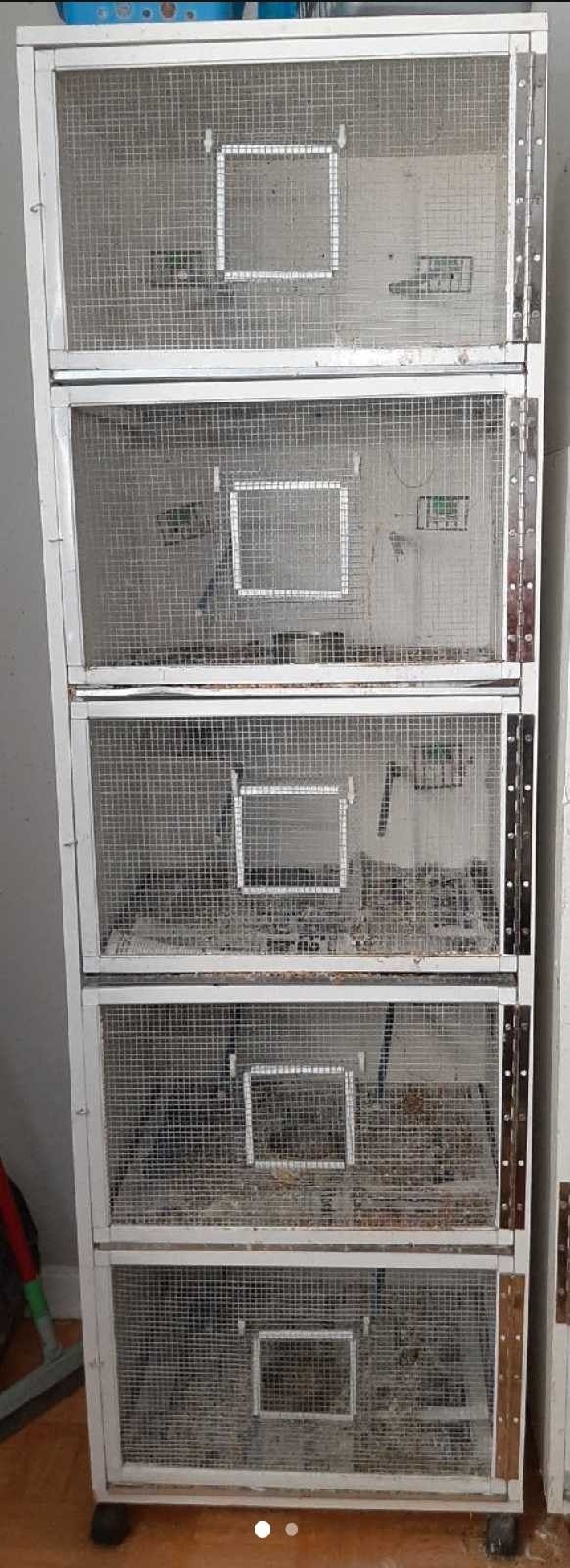 Small bird cages - Everything has to go
