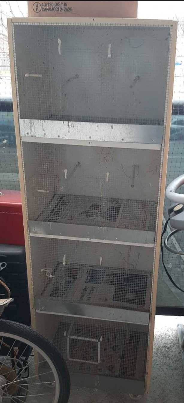 Small Bird Cage - Everything Must Go!