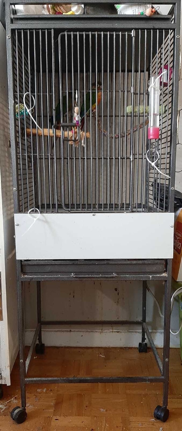 Bird Cages with Wheels - Everything Must Go!