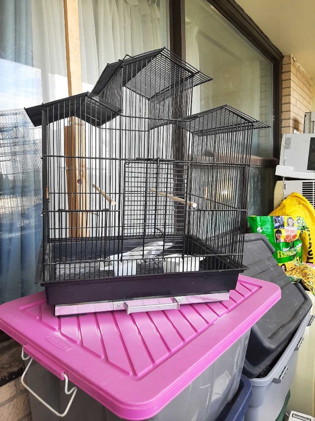 Bird Cage big - Everything has to go, last price