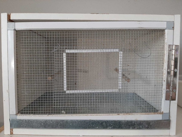 Bird Cage