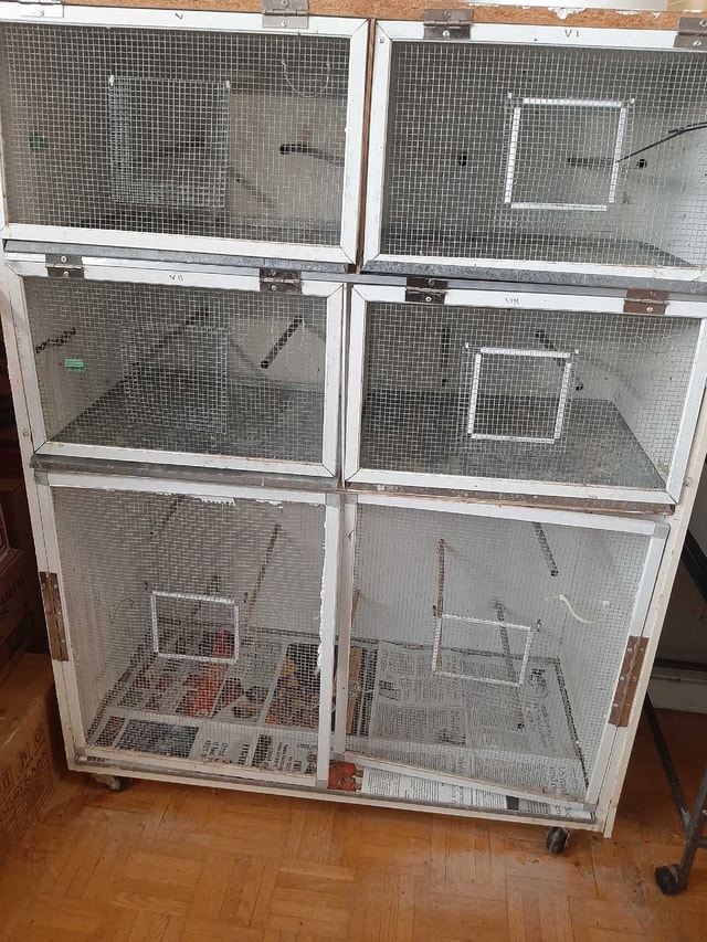 Handmade Bird Cage with Fly Cage and Wheels