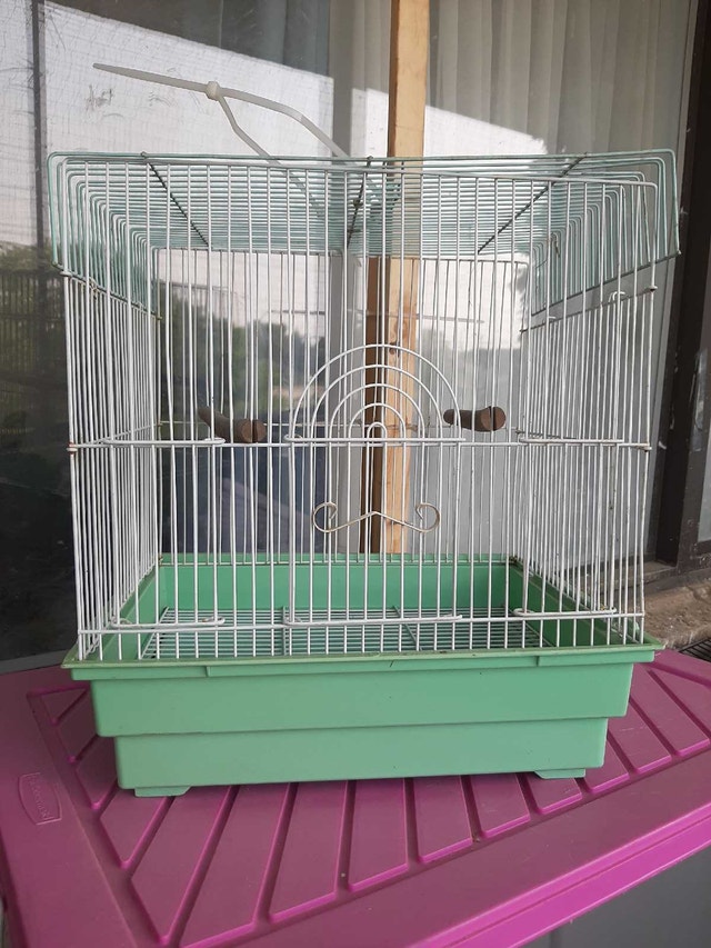 Bird cage
